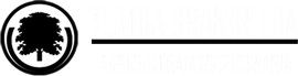 Tumba Grande – paisagismo, jardins em Luanda