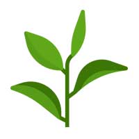 Comercialização de Plantas 